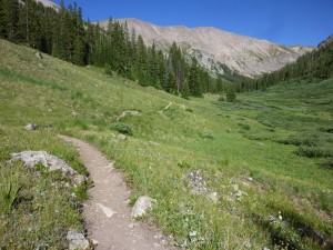 Grizzly Lake Trail, meadow, trailrunning, Collegiate Peaks